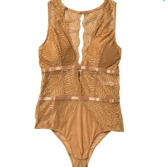 Other - Sheer lace romantic teddy